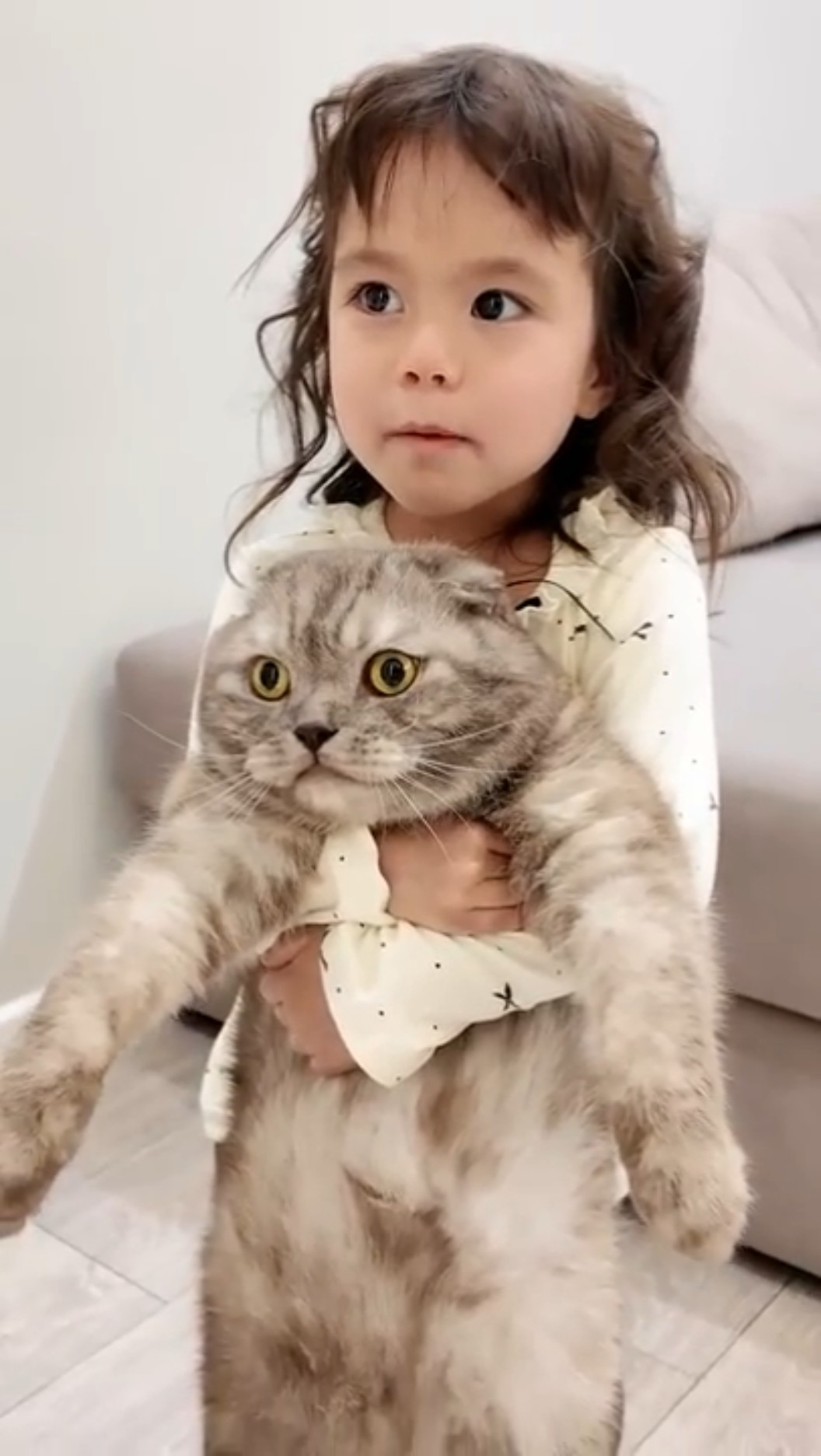 Cute Penguin & Cat Try Japanese Grilled Fish Breakfast - YouTube