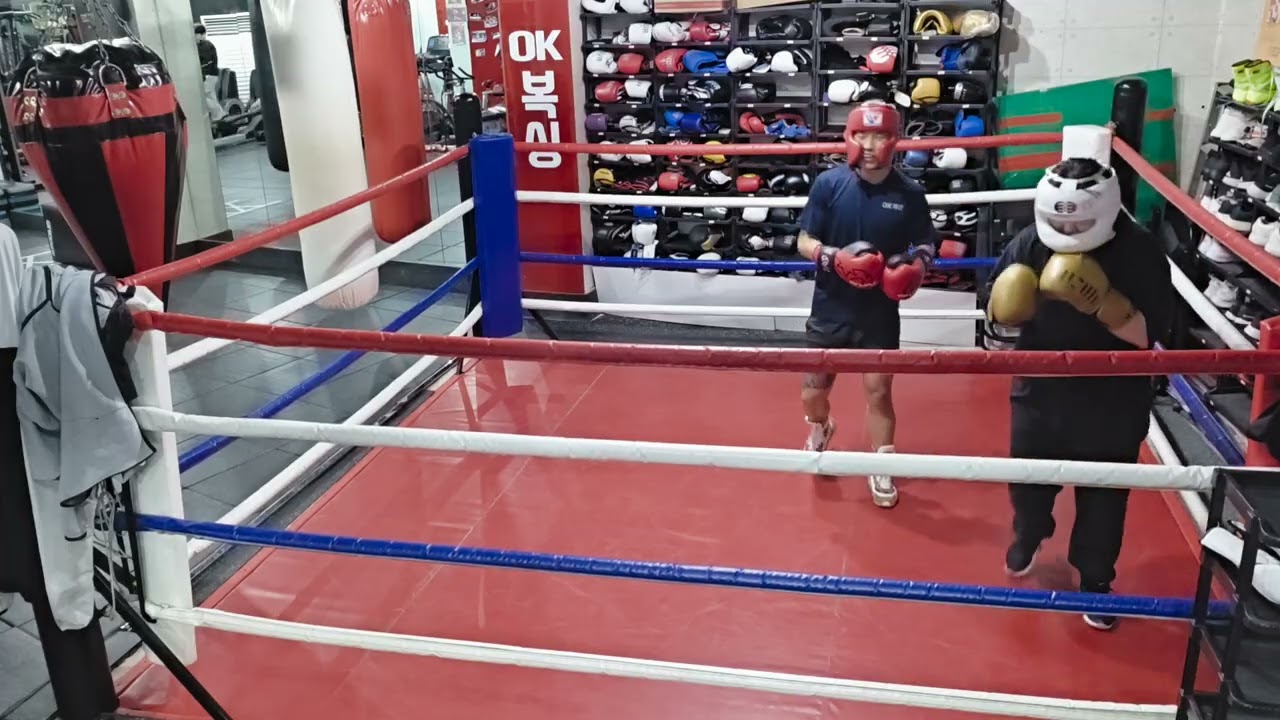 스파링 지도 - 맞으면서 배우기