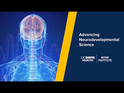 Advancing Neurodevelopmental Science: Research Updates on ADHD, Fragile X, Environmental Influences