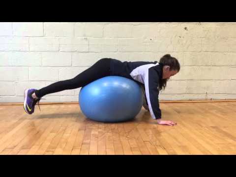 Stability Ball Reverse Back Extension