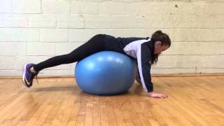 Stability Ball Reverse Back Extension