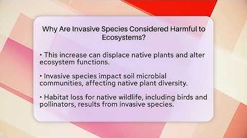 Why Are Invasive Species Considered Harmful to Ecosystems? | Explaining Ecology News