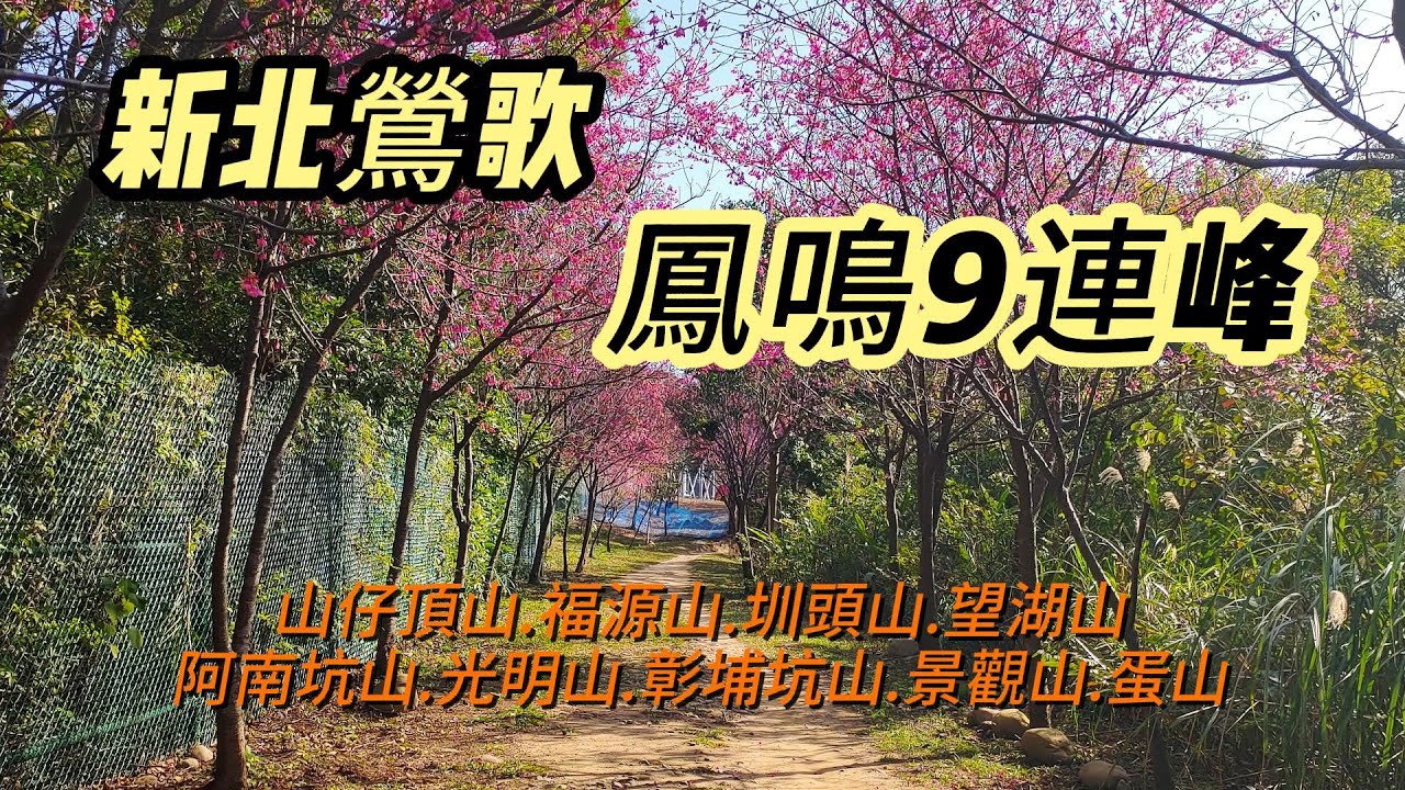 [新北]鳳鳴9連峰 | 搭火車爬山去