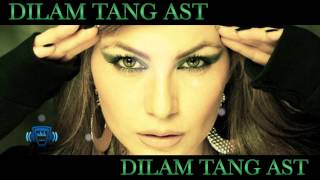 Aryana Sayeed - Dilam Tang Ast Lyrics Hd 2012 - New Aryana Sayeed Songs 2012 - New Afghan Songs 2012