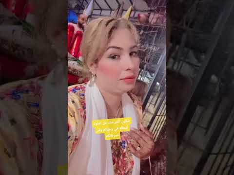 موسم سيدي علي