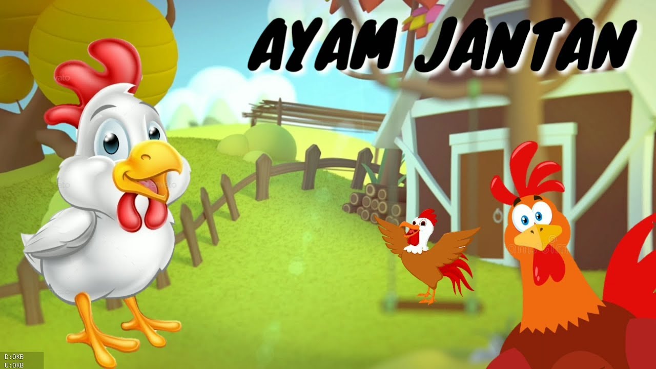 Video Animasi Suara Ayam Jantan - Ayam Jago - Suara hewan ...