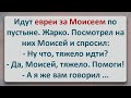 ✡️ Египетский Плен! Шахер-махер Анекдот! Еврейские Анекдоты! Анекдоты про Евреев! Выпуск #203