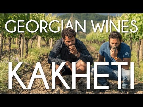 Kakheti, the wine-making region of Georgia - Cinematic travel Vlog by Tolt #6
