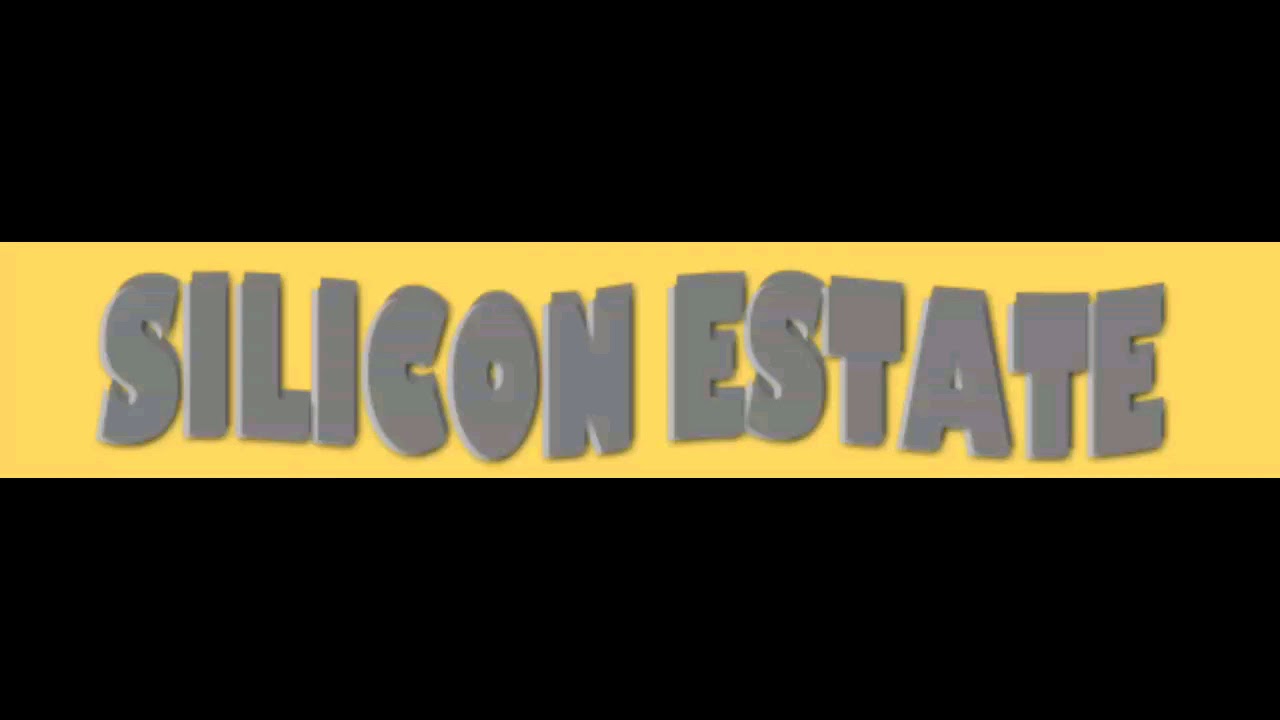 SILICON ESTATE -- YOUR PROBLEMS ARE BIGGER THAN MINE