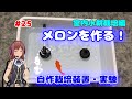 #25【室内栽培】水耕栽培編　初めてのメロン栽培 発芽～定植！自作栽培装置の実験【園芸】 生長記録 グロウテント MK2ライト LED