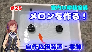 #25【室内栽培】水耕栽培編　初めてのメロン栽培 発芽～定植！自作栽培装置の実験【園芸】 生長記録 グロウテント MK2ライト LED