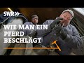 Wie man ein Pferd beschlägt | SWR Handwerkskunst