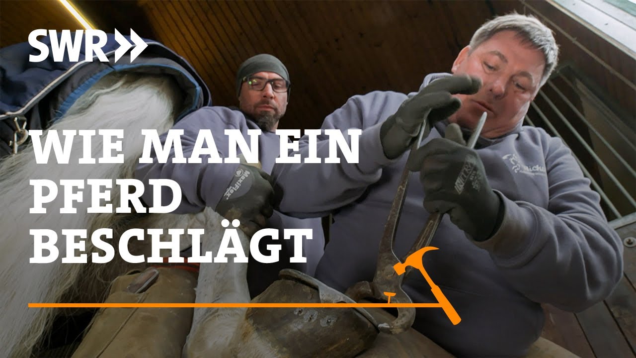 Wie man ein Pferd beschlägt | SWR Handwerkskunst