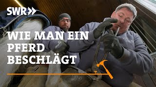 How to shoe a horse | SWR Craftsmanship