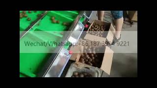 Lemon longan fruit sorter grader lychee grading classifying machine olive sorting grading machine