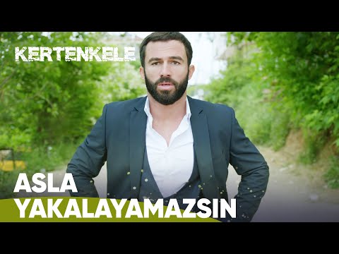 Şevket'i yakalayamadı | Kertenkele 64. Bölüm 🦎