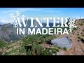 What's the WINTER weather like in MADEIRA!?