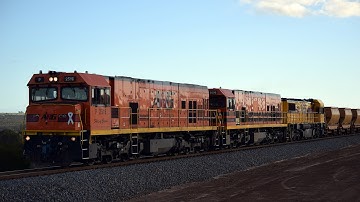 P2516 ~ P2506 ~ DFZ 2407