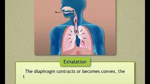Respiration (Life