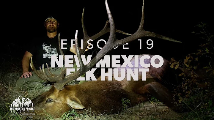 Finally, Chase finds a good bull  - Ep.19 - New Mexico Rifle Elk Hunt