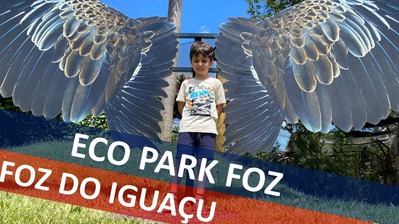 Eco Park Foz | Tinha tucano ou só aves de rapina? | Os Sobrinhos do Tio Walter