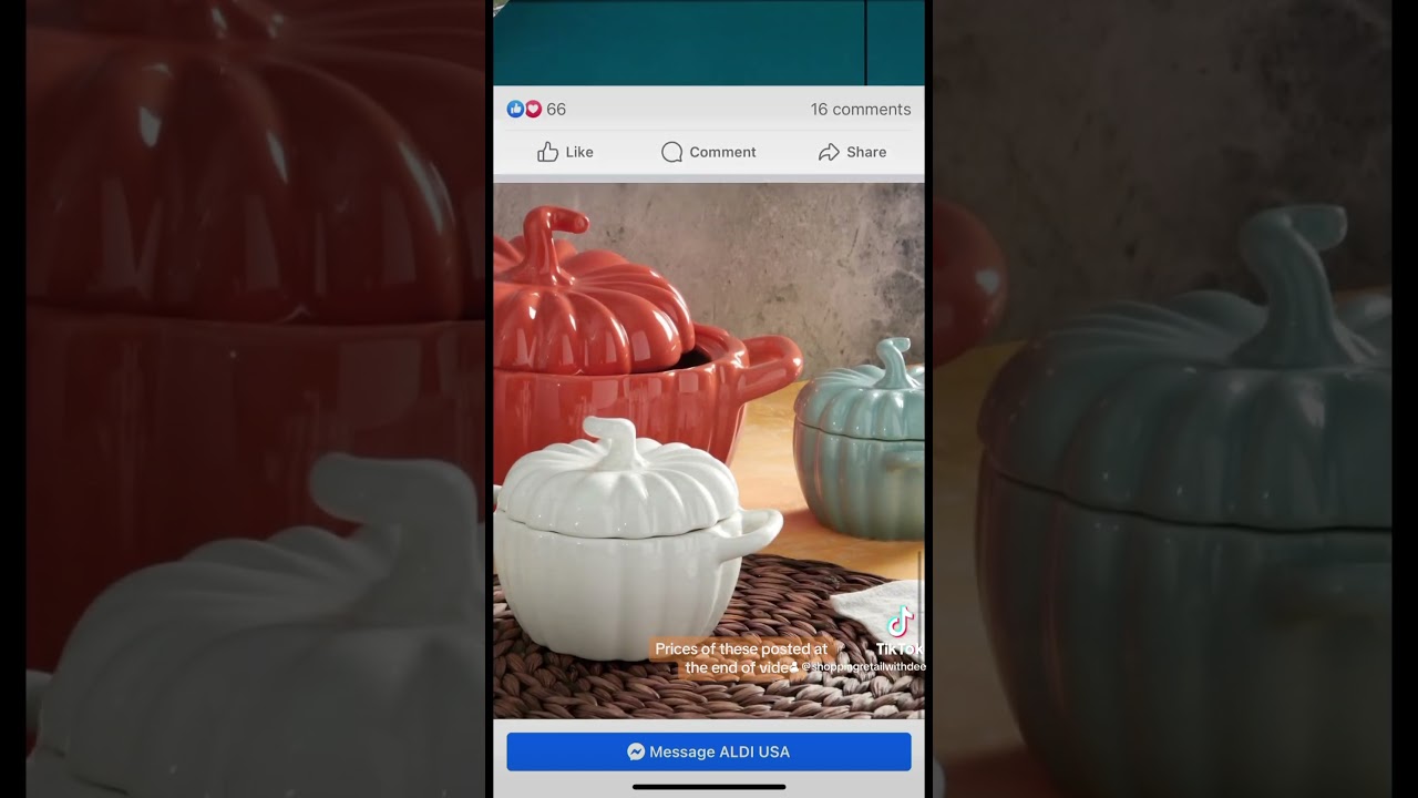 Aldi fall finds 2023 