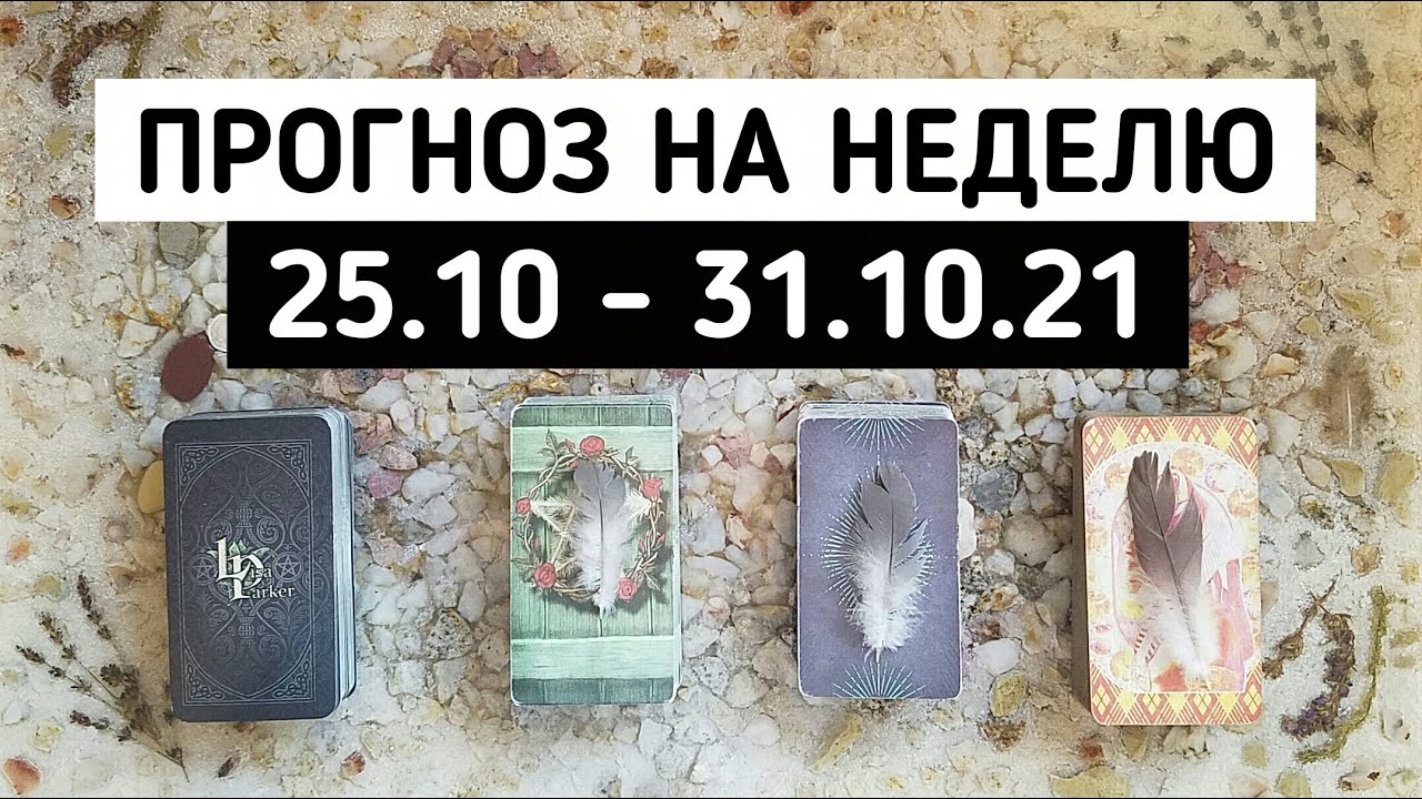 slp прогноз на неделю