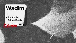 Solomun - Wadim (Pantha Du Prince Remix)
