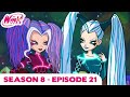 Winx Club FULL EPISODE Dance Contest On Melody Season 8 Episode 21