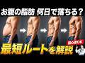 男性のお腹の体脂肪が落ちるまでに必要な日数と最短ルート