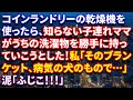 【スカッとする話】コインランドリーに洗濯物を取りに行った時…私「あの、それうちのですけど」泥「何言ってるのよ！この（ブランド名）のタオルケットはウチのよ！」結果ｗ（スカっとラボ）【修羅場な話】