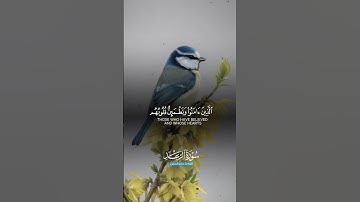 تلاوة خاشعه 🍂#قرآن #quran #تلاوة_خاشعة #اكسبلور #المصحف #راحة_نفسية #لايك #trending