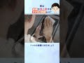 実は金運が急上昇するスマホの特徴5選!