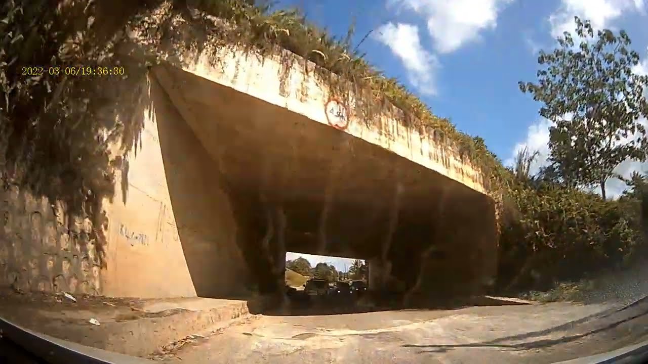 In sections of Phoenix Park, Moneague, Saint Ann.