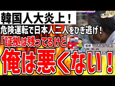 [Yukkuri Commentary] South Korean Man Sparks Outrage! Hits and Runs Down Two Japanese Citizens wi...