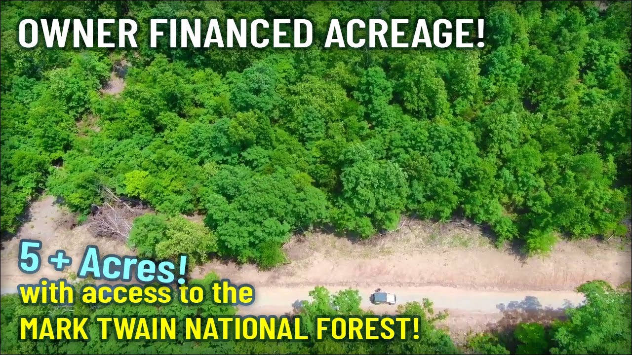 Owner Financed Acreage Bordering 50,000 Acre National Forest! Only