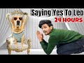 SAYING YES TO LEO FOR 24 HOURS Meri Sabse Badi Galati Anant Rastogi
