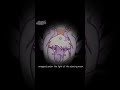 Chiri Chiri juso #vtuber #envtuber #animation #streamer #animationvideo