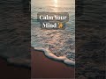 Calm Your Mind ✨ Ocean Meditation Music for Relaxation