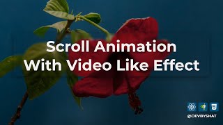 Scroll Animation That Looks Like Video (Full Guide)