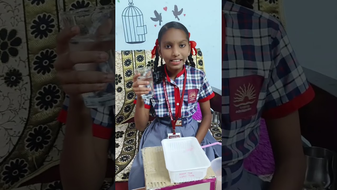 Viksit Bharat water conservation project by B. Hema Chandana, 6th C, K. V. Waltair 