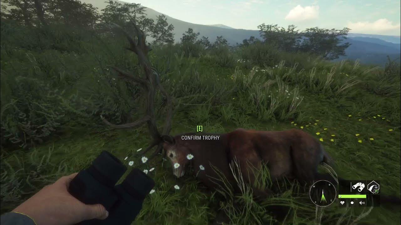 COTW Mythical Red Deer! YouTube