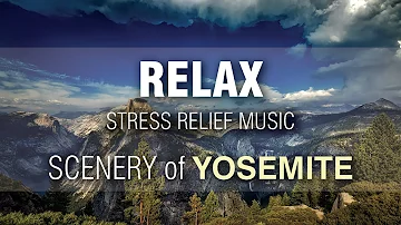 50 Min Meditation Music | YOSEMITE | Mindfulness Meditation Music | Sleep Yoga Meditation Music