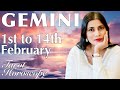 GEMINI Tarot reading from 1st to 14th February 2024