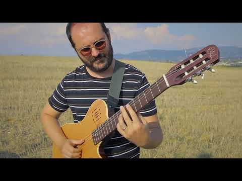 fanini-project---birdland-(weather-report)---fingerstyle