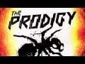 THE BEST OF PRODIGY (2013)