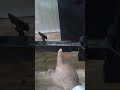 شرح مفصل كيفية صنع كرسي للحلاق وهوا قاعد شرح مفصل كيفية صنع كرسي للحلاق وهوا قاعد