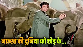 Nafrat Ki Duniya Ko Chhod Ke | Haathi Mere Saathi | Mohammed Rafi Sad Songs | Rajesh Khanna Classics