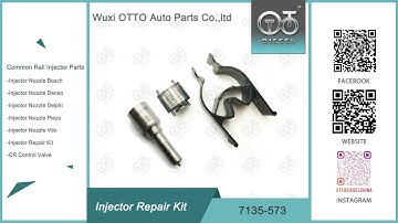 7135-573 Delphi Injector Repair Kit For Injectors 28229873
