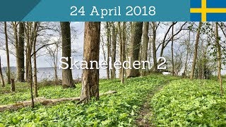 When the Trail Bloom – Hörby Ringsjöstrand - Rövarekulan – Skåneleden 3 – Day 1